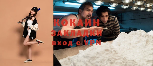 молекула духа Алзамай